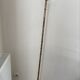 Bronze bamboo floor lamp, 19th century.