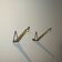 1960s Wall mounted Hanger Hook By Desmond Sawyer Rattan