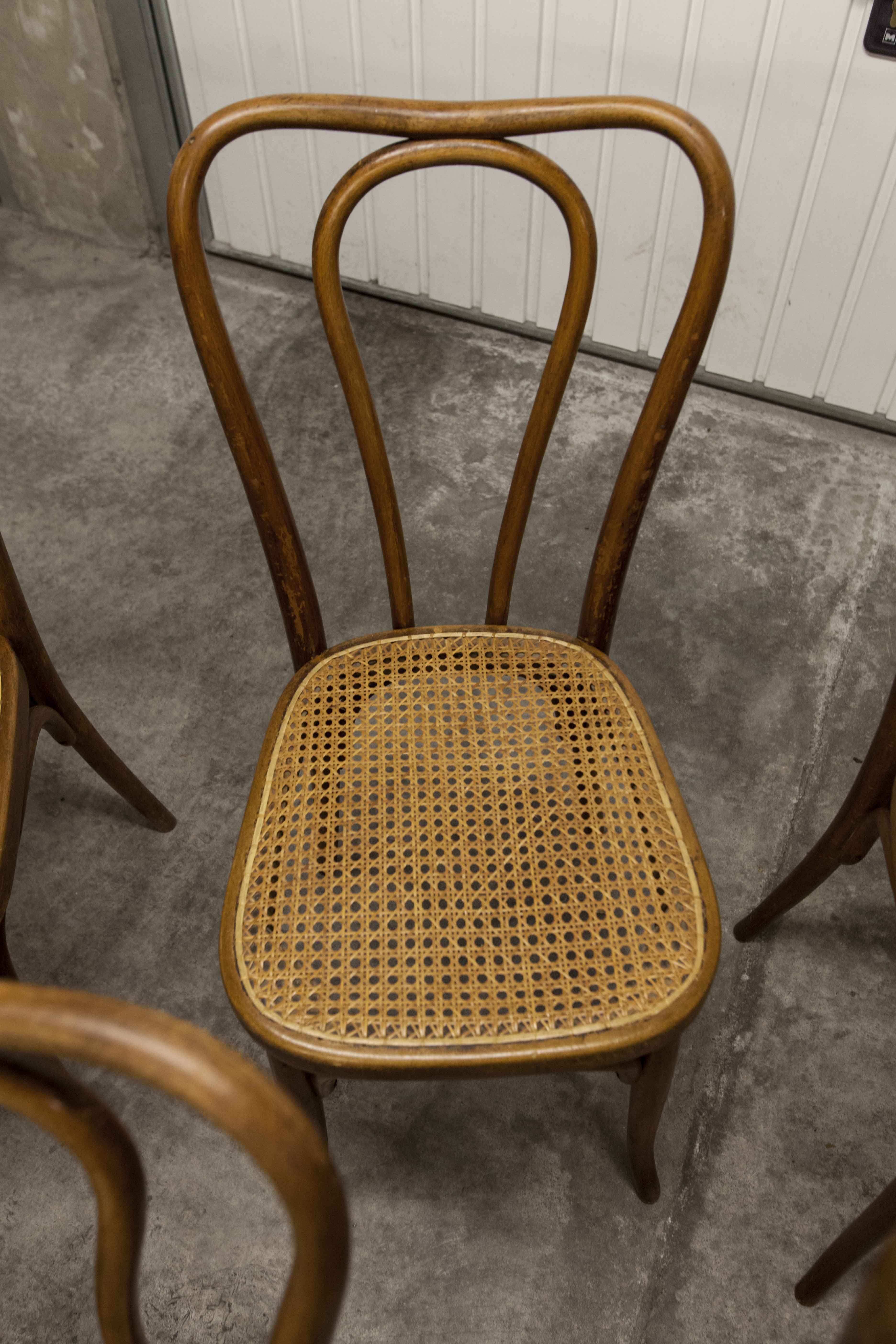Set of 6 chairs bistro j&j kohn 1900 seat cannage