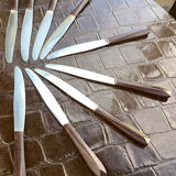 Set of 9 vintage a.fontenille 1034 table knives