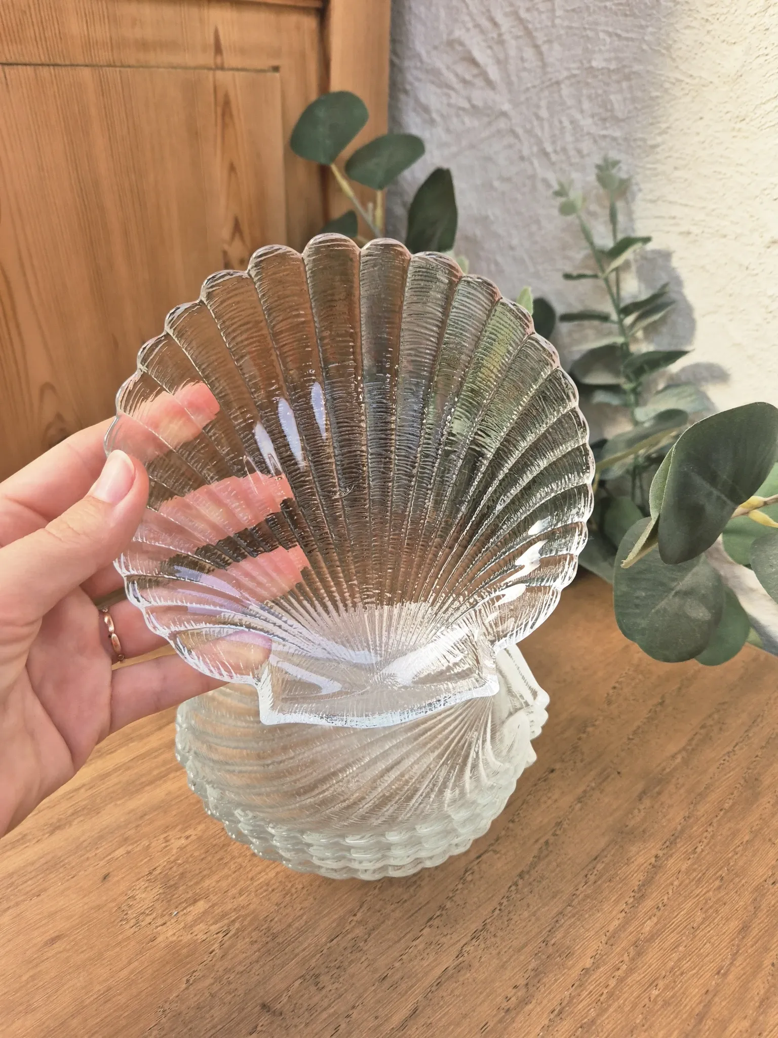 coupelles coquillage vintage