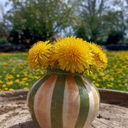 Small colorful vase 💐