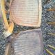 Set de six chaises Bistrot Luterma vintage
