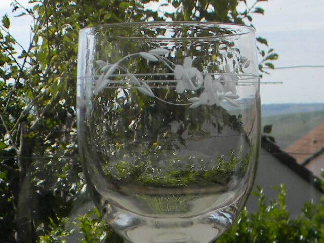 Set of 8 antique glass water glasses. Engraved floral border