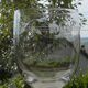 Set of 8 antique glass water glasses. Engraved floral border