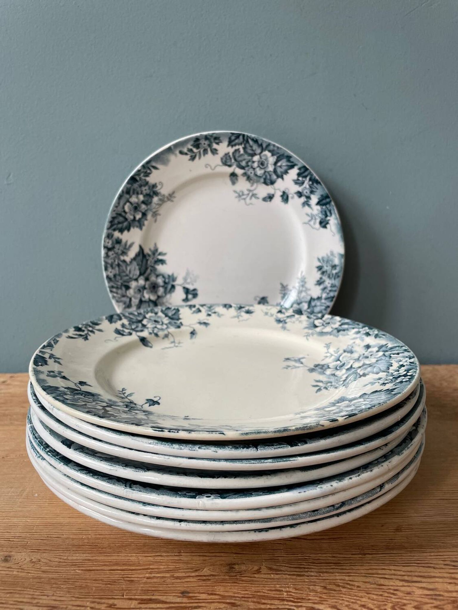 Series of 9 flat plates Terre de Fer “Marie-Louise” St Amand and Hamage
