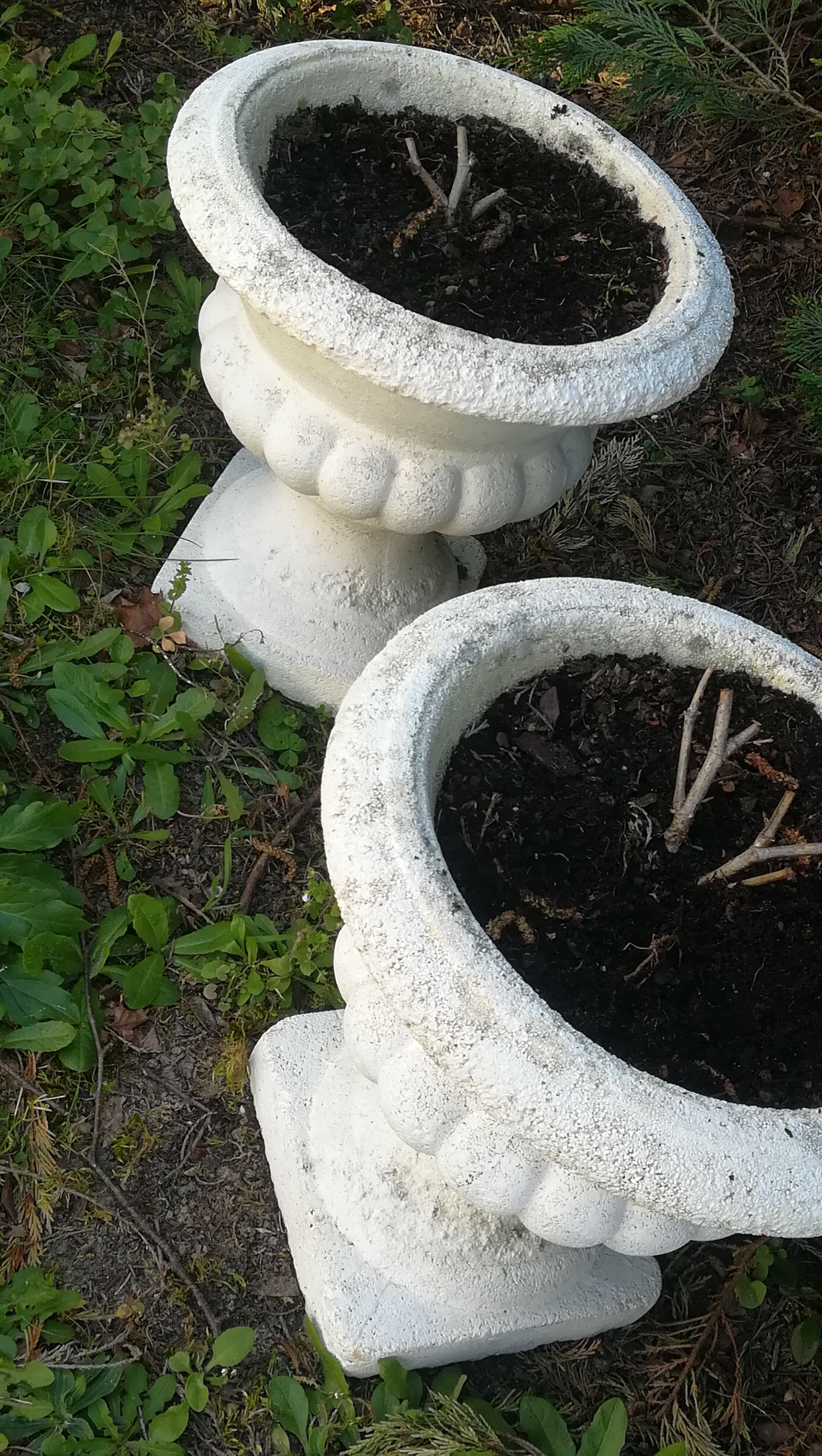 Pair of vases in reconstituted white stone