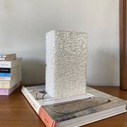 Seventies frosted plastic perspex wall light.