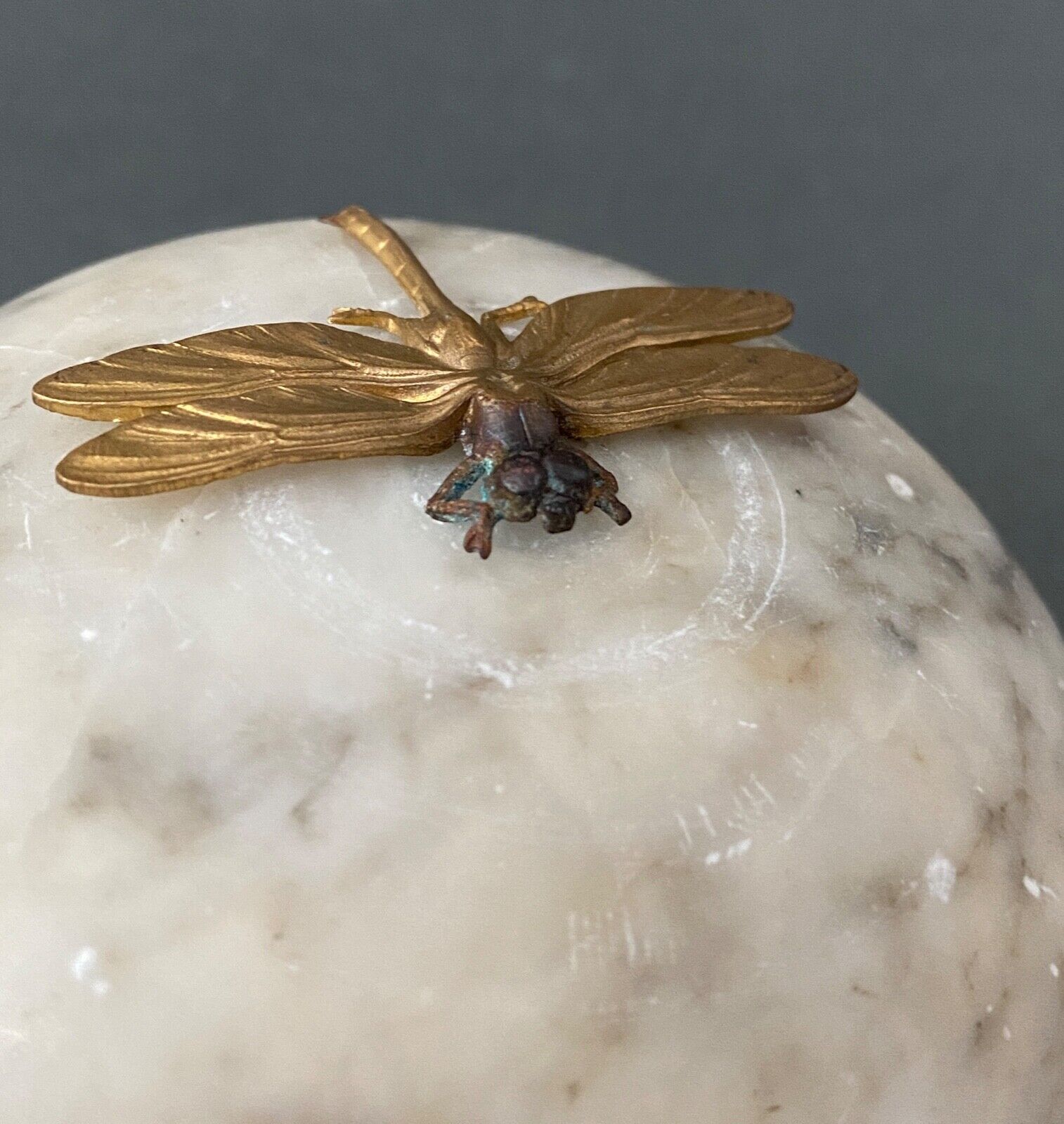 1900 alabaster ball shaped box surmounted by a golden dragonfly