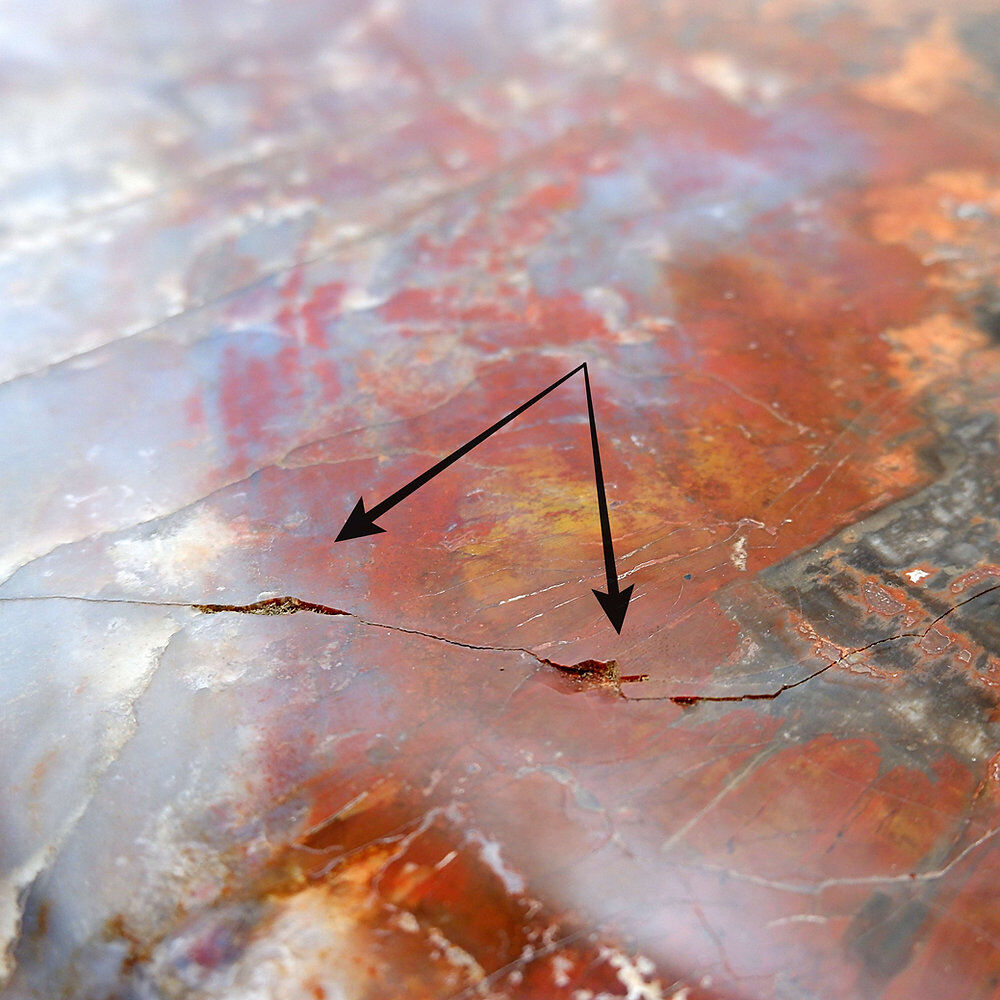Red petrified wood coffee table from Arizona: 114x88cm