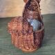 Rattan squirrel