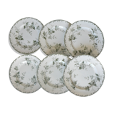 Lot of 6 plates flat "land of iron" model "rosette" st amand