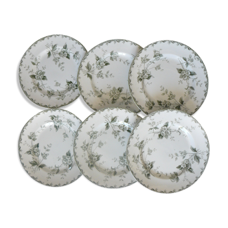 Lot de 6 assiettes plates  "terre de fer" modèle "rosette" st amand
