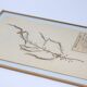 George Bert Herbarium