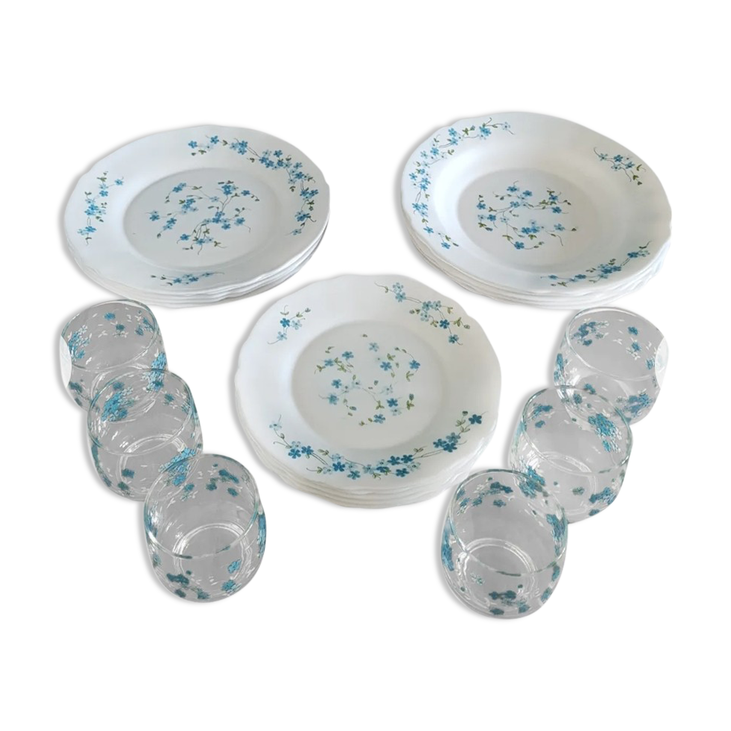 Full service 24 pieces Arcopal Myosotis Veronica