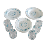 Full service 24 pieces Arcopal Myosotis Veronica