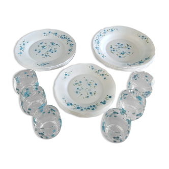 Full service 24 pieces Arcopal Myosotis Veronica