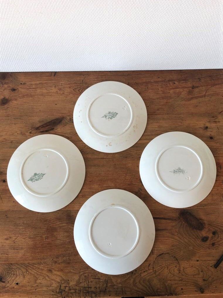 Lot of 4 plates old iron earth pattern "Capucines" BFK