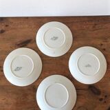 Lot of 4 plates old iron earth pattern "Capucines" BFK
