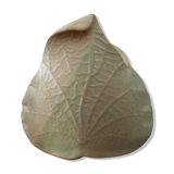 green leaf vase