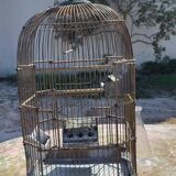 1900 Bird Cage Feeder and Drinker