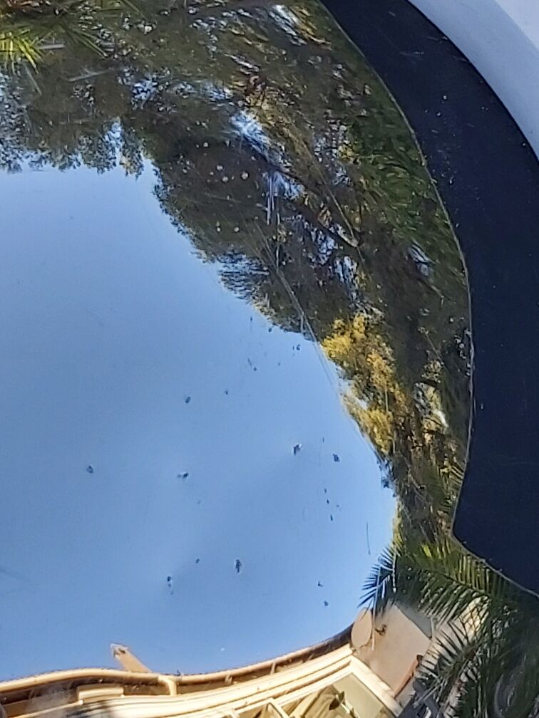 Wall light A25 Alain Richard, editions Disderot