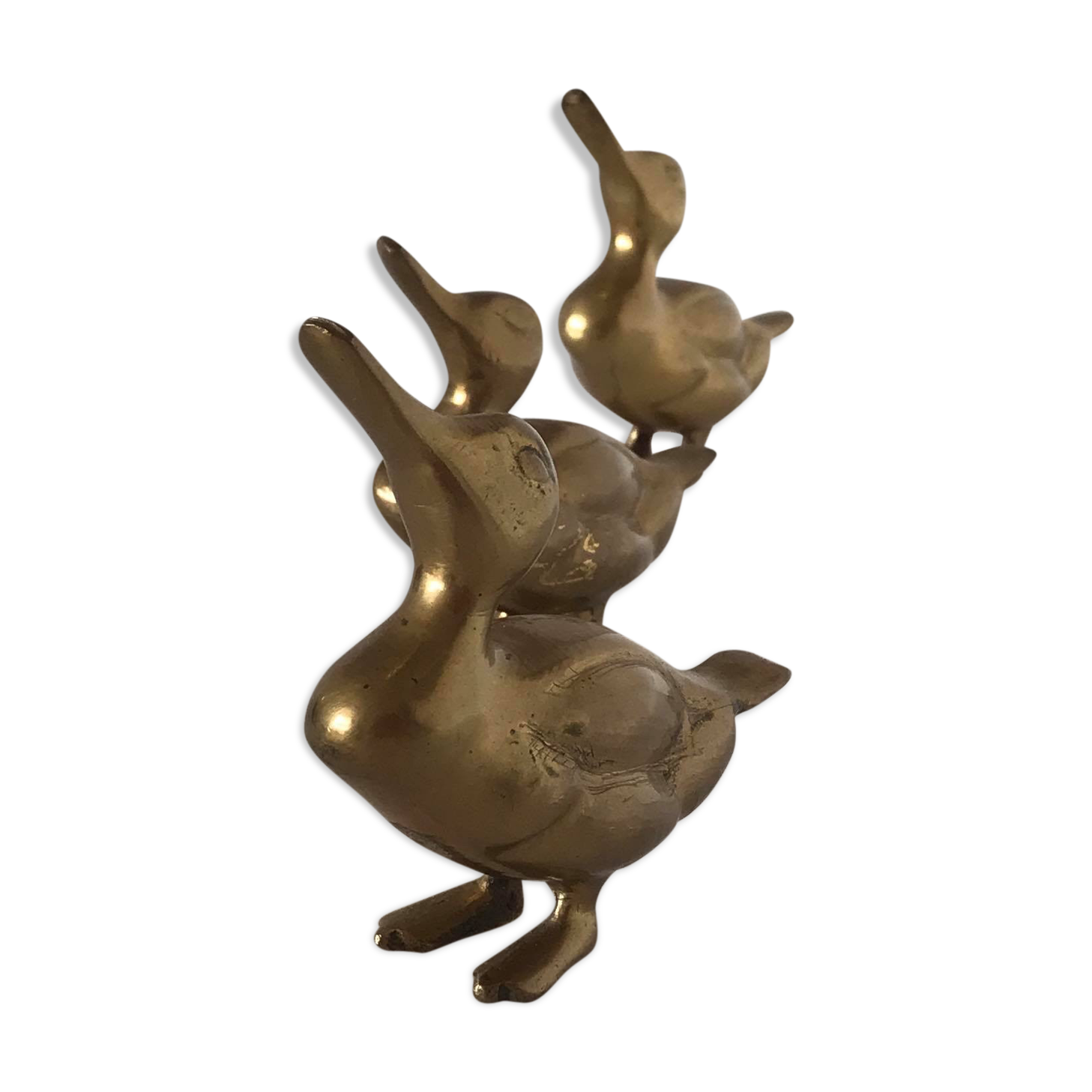 Lot of three ducklings