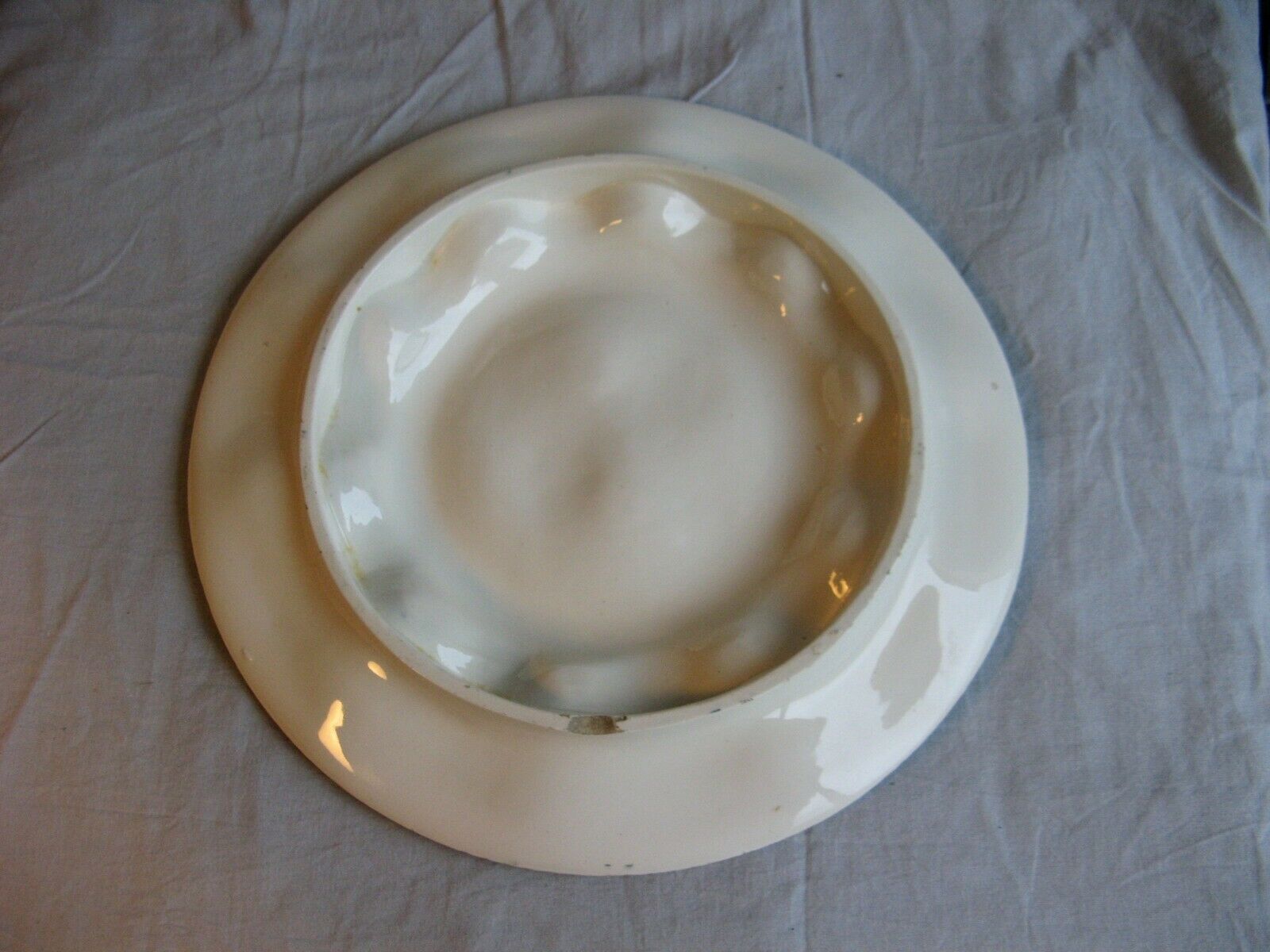Oyster dish in majolic or dabbling for 12 shells