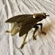 Vintage brass ashtray in the shape of a fly - Made in Italy