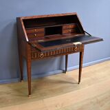 Rosewood and Mahogany Sloping Desk, Louis XVI Style – Mid-19th Century