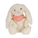 Pop up Noel - PETIT PICOTIN - Doudou cheche
