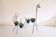 Pair of metal and ceramic plant stands