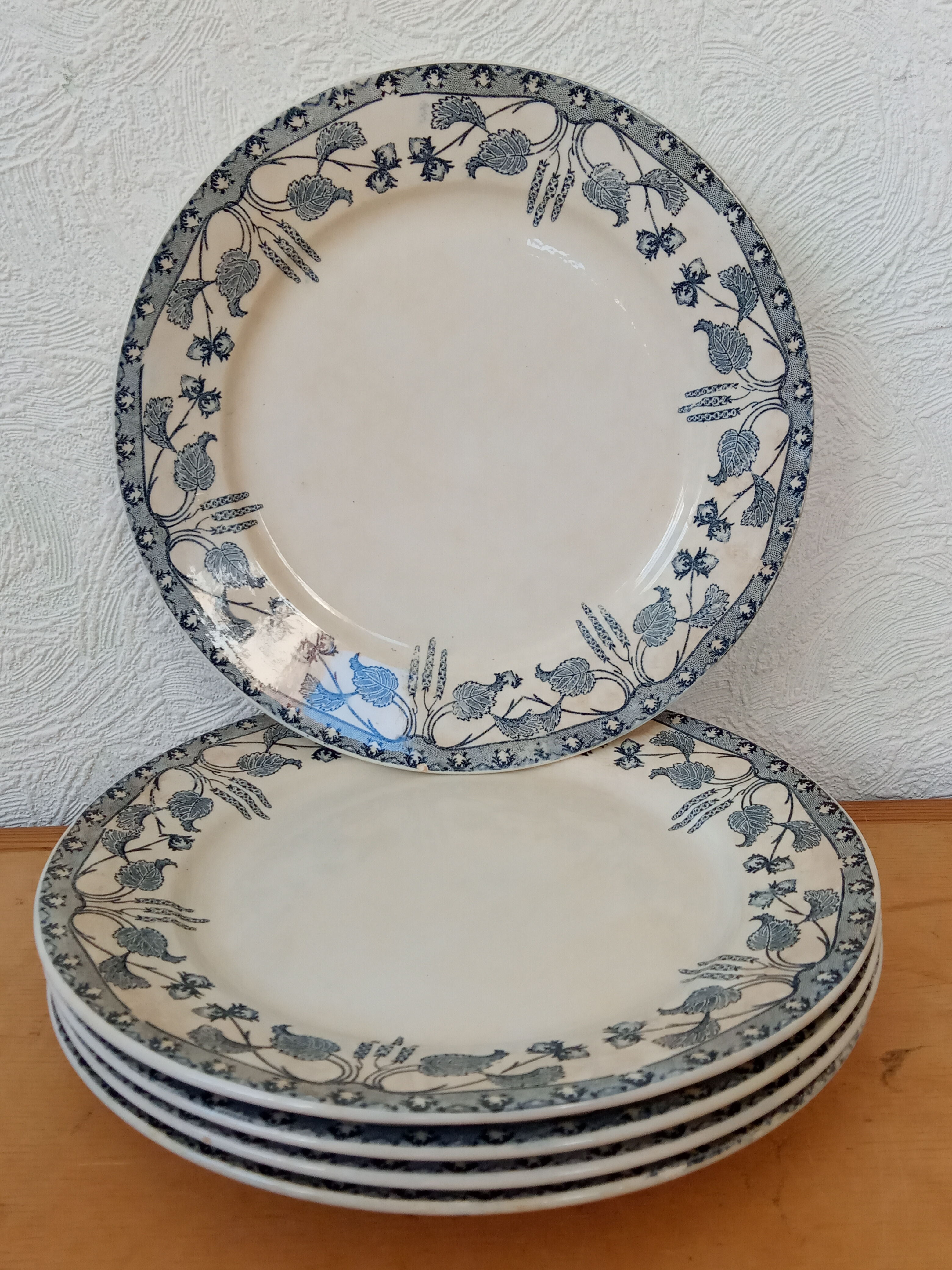 Five old plates of Sarreguemines