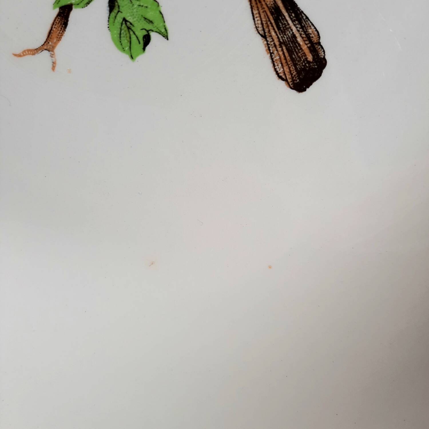 Old mismatched earthenware dinner plates accompanied by a deep dish