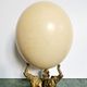 Ancient ostrich egg naturalized on bronze base representing 3 elephants