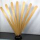 "Ventaglio" coat rack or room divider by G. Pasotto for Tarzia, 1970s