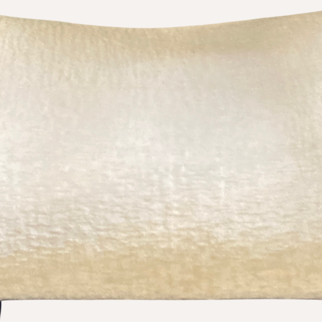 4 chaises de salle à manger biologiques des années 1960 en bois de wengé, époque spatiale hollandaise ou danoise