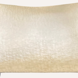 4 chaises de salle à manger biologiques des années 1960 en bois de wengé, époque spatiale hollandaise ou danoise