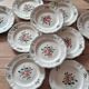 Amazonas plates Sarreguemines
