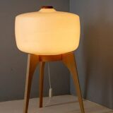 Standard lamp, ÚLUV, 1950s–1970s, Czechoslovakia