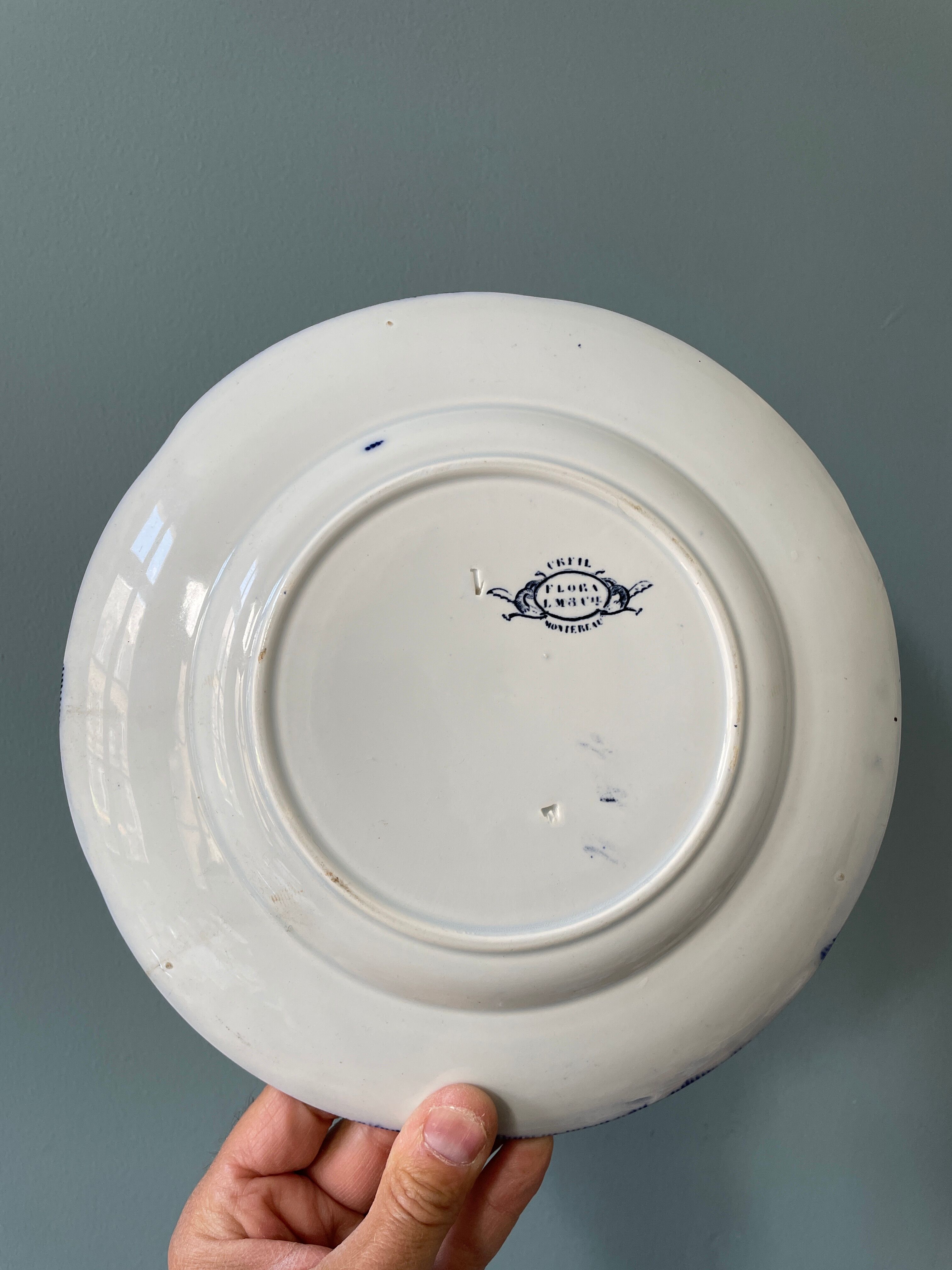Set of 4 flat plates Creil and Montereau, Flora model