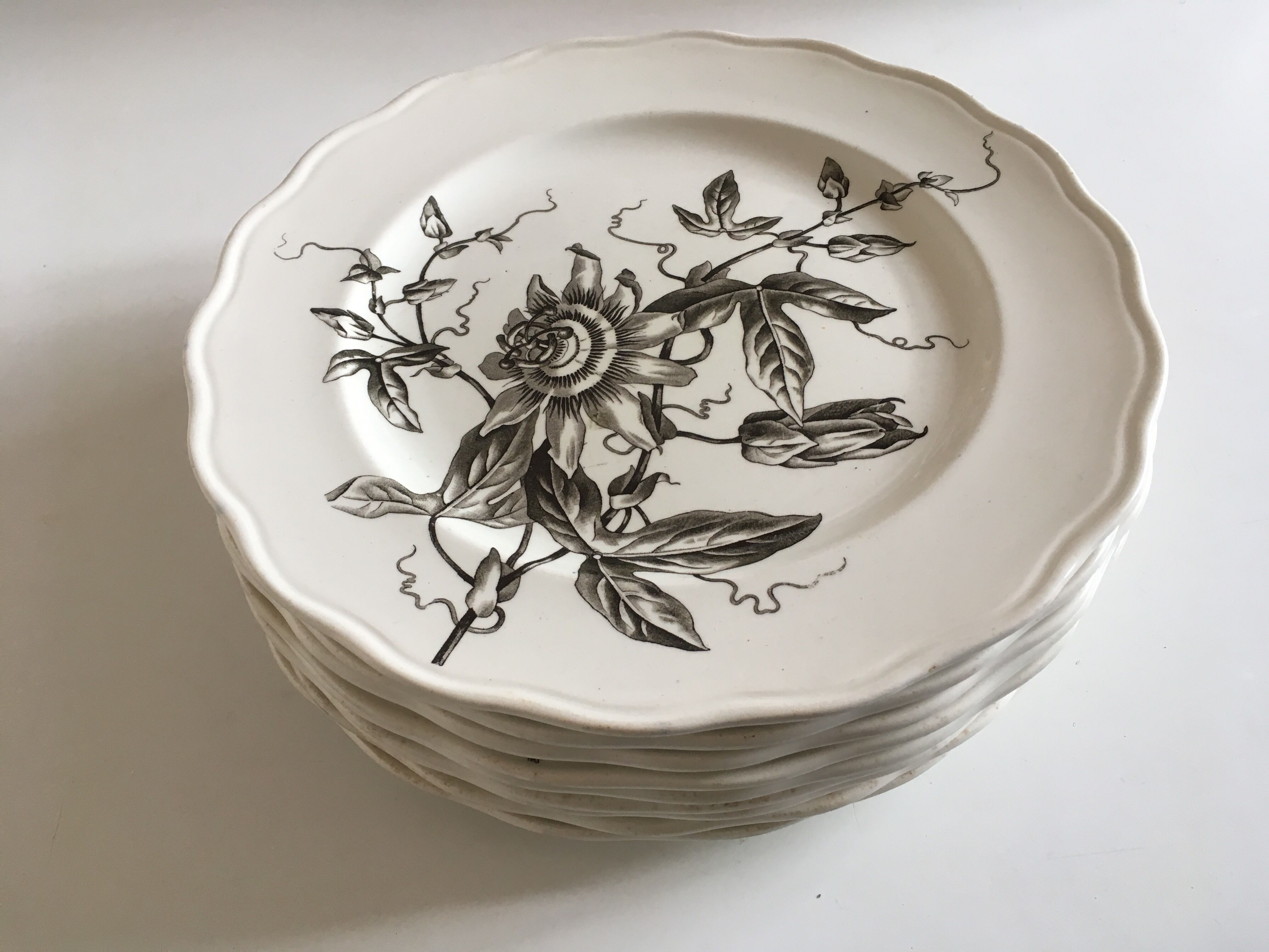Set of 9 plates Passion flower grey 1880 Brown Westhead Moore 'Co