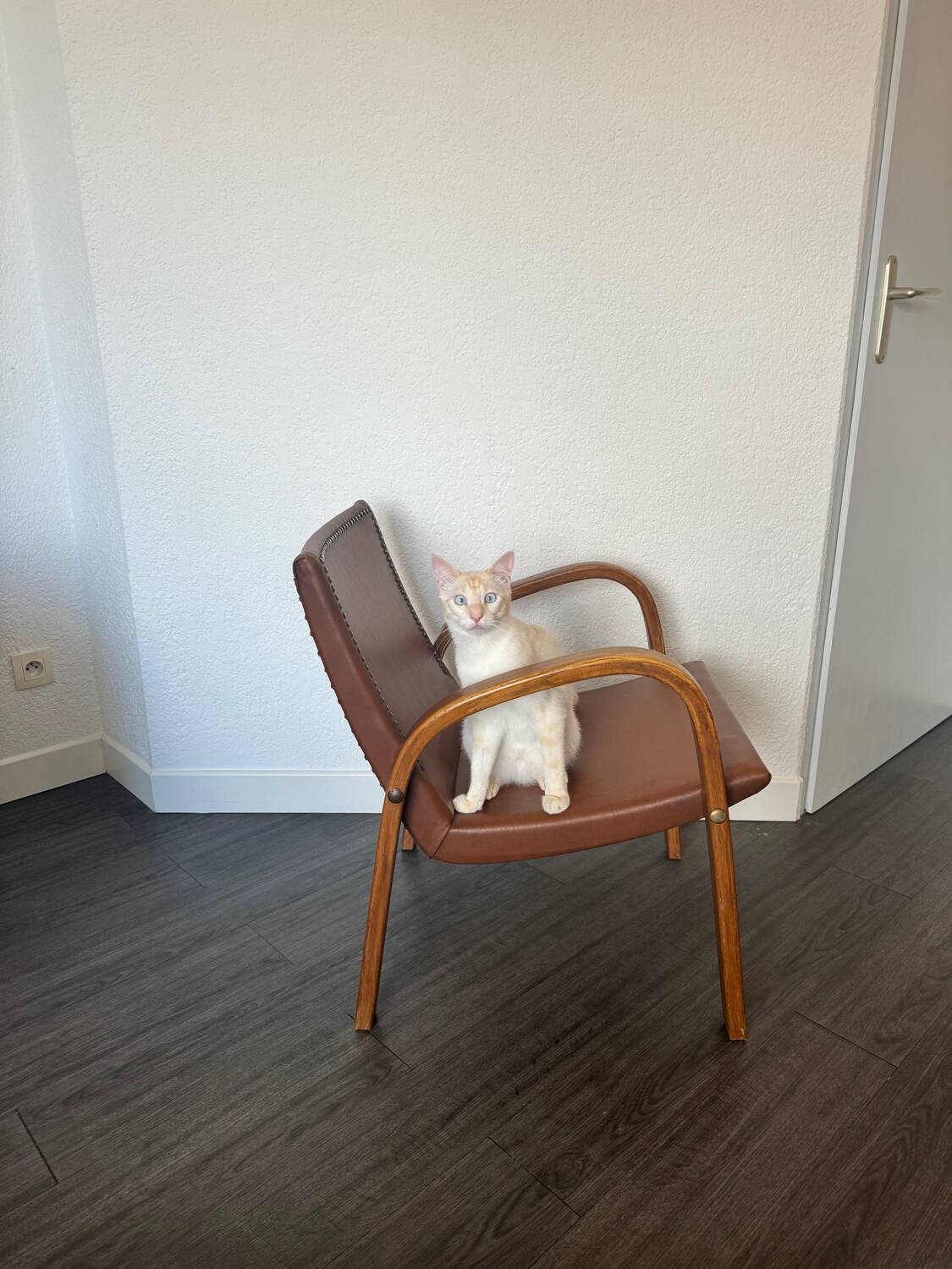 Fauteuil Vintage