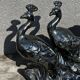 Centerpiece Pair of Peacocks Ceramic Vallauris Iridescent Anthracite Grey