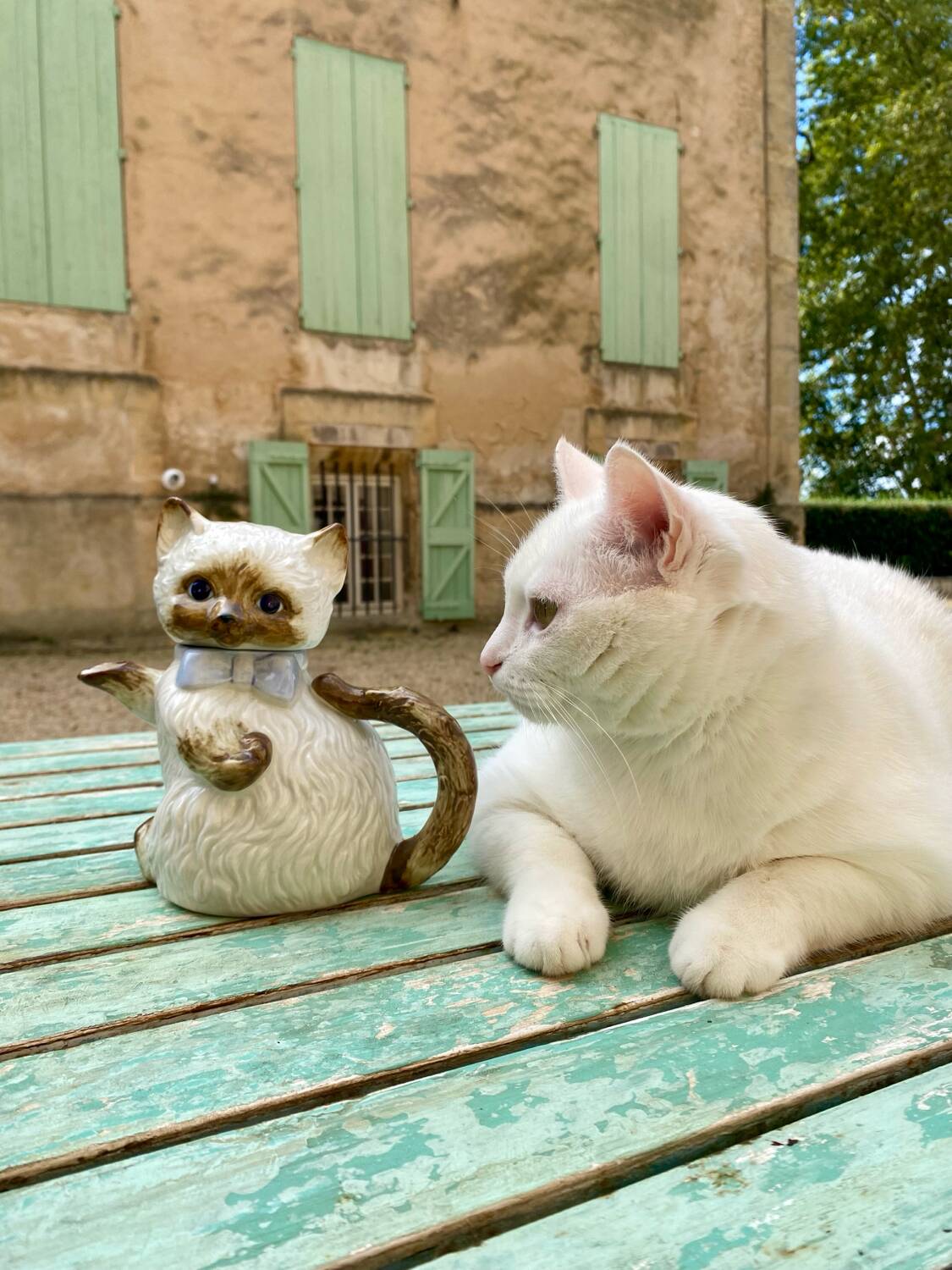 Vintage kitten teapot