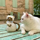 Vintage kitten teapot