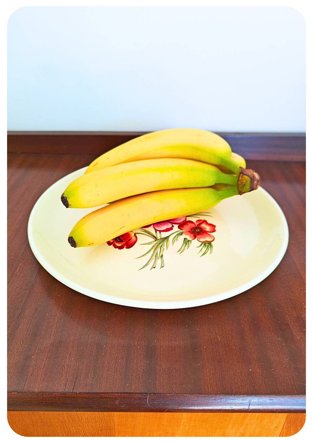 Grand plat Anemone Salins France