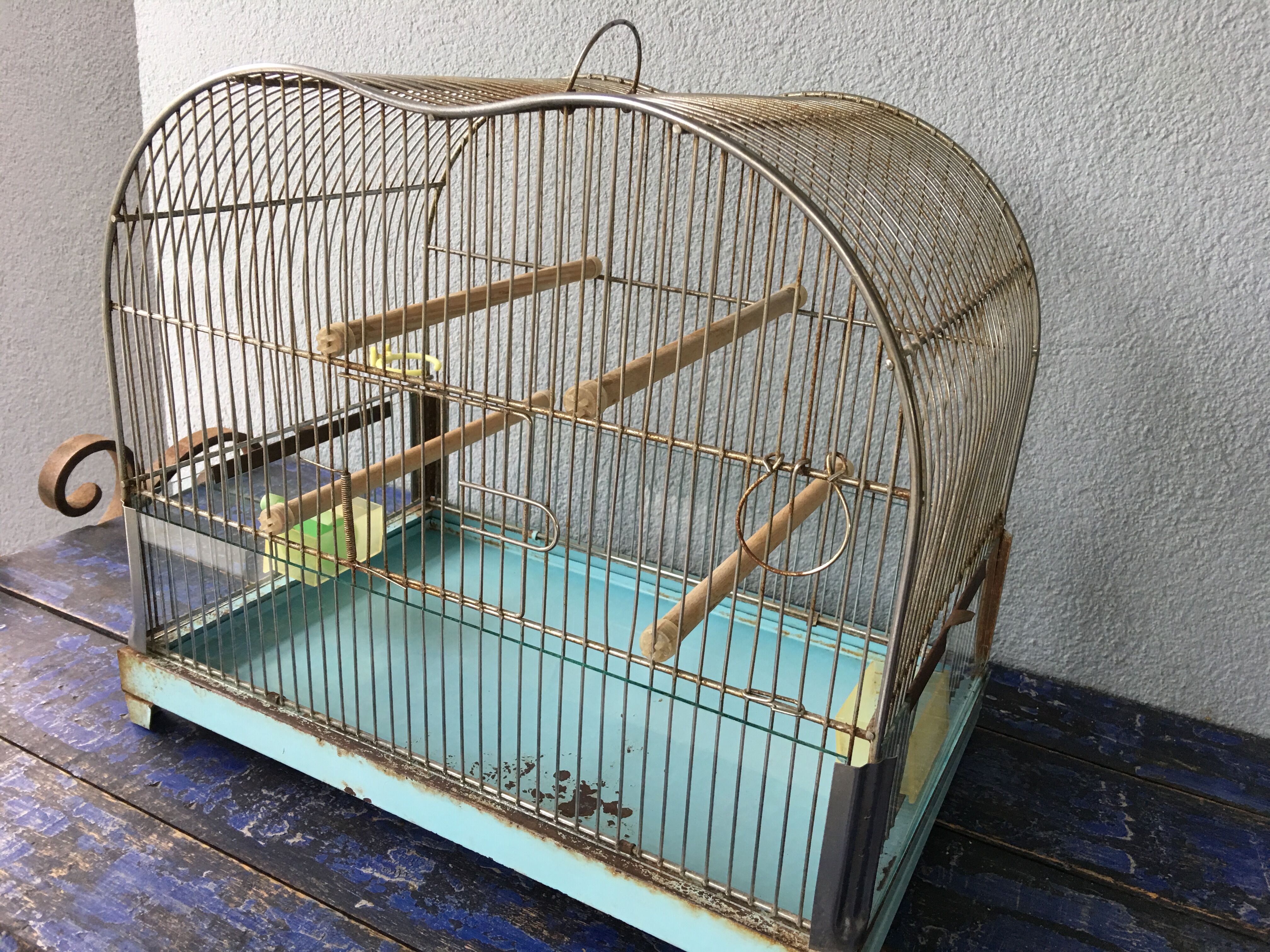 Vintage birdcage