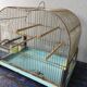 Vintage birdcage
