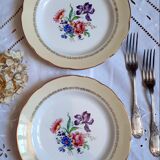 Flat earthenware plates with gilded edges